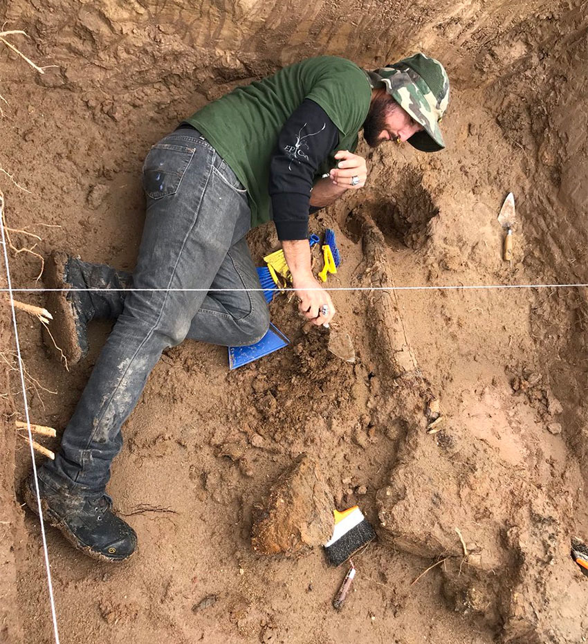 Fossil Discovery Reveals Paleontological Wealth of Southern Jalisco